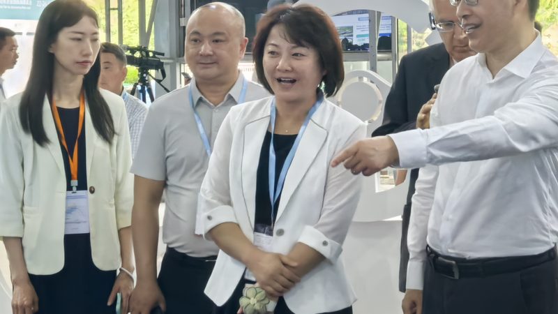 刹车盘型号推荐：如何选择合适的刹车盘